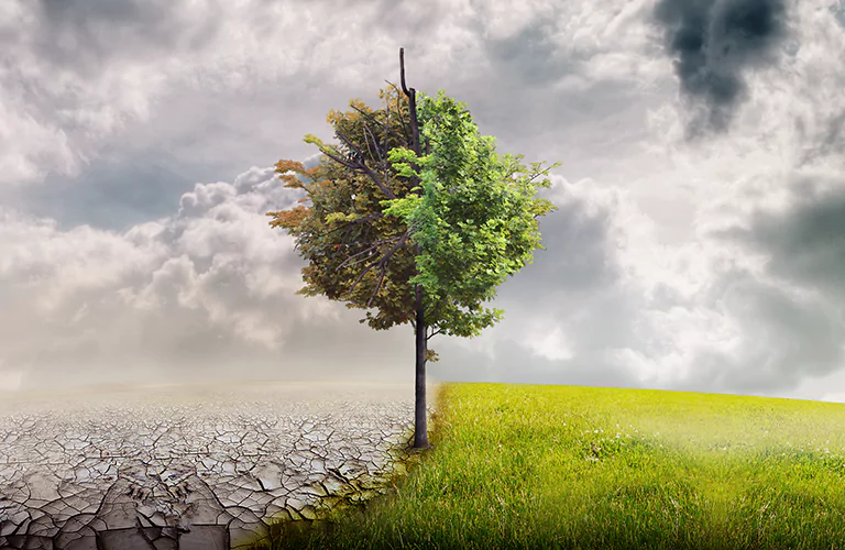 Társadalmi felelősségvállalás