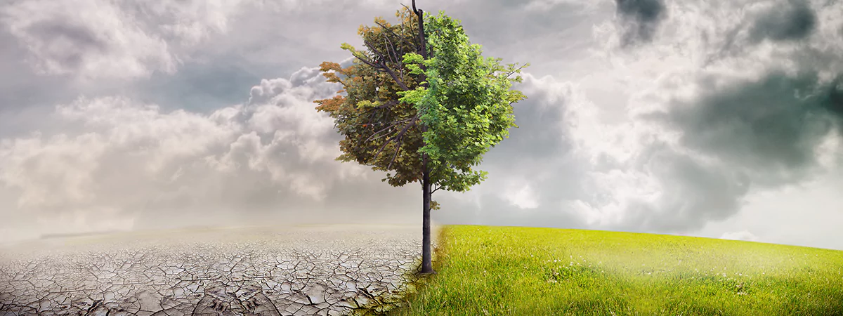 Társadalmi felelősségvállalás